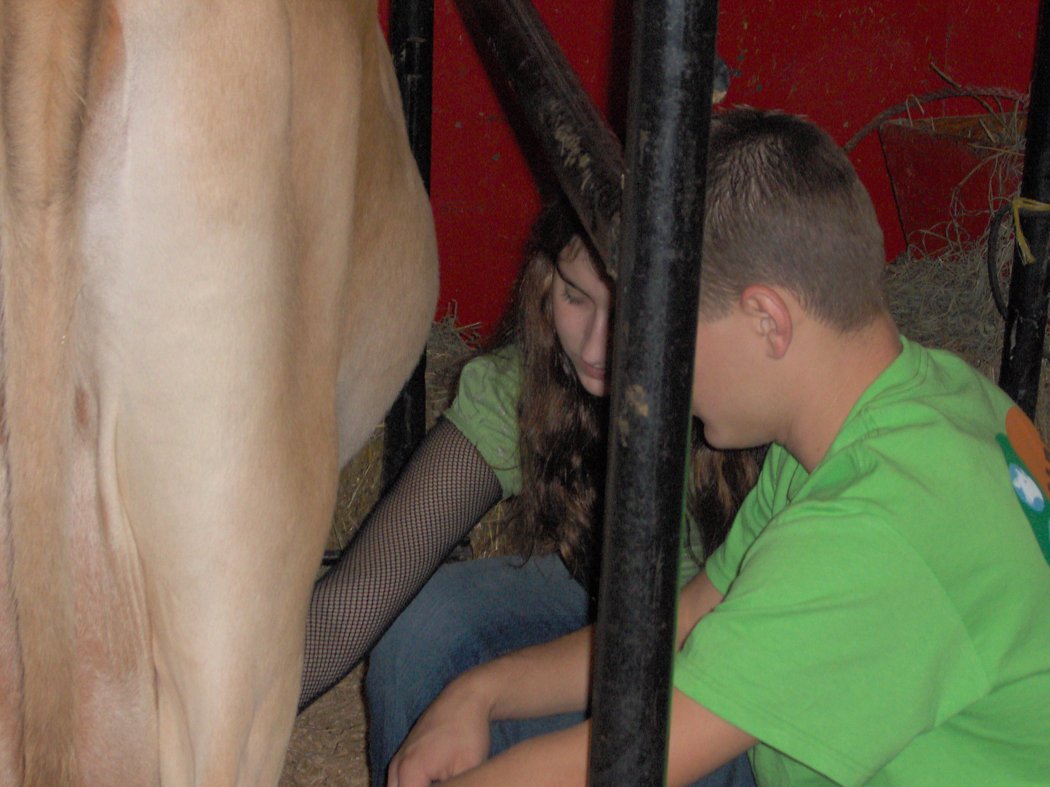 ./2006/State Fair/CarinaStateFair0004.JPG